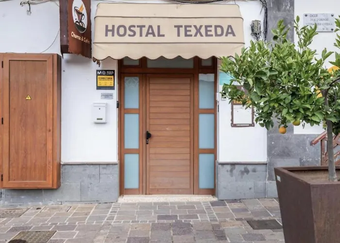 Texeda 게스트하우스 테헤다
